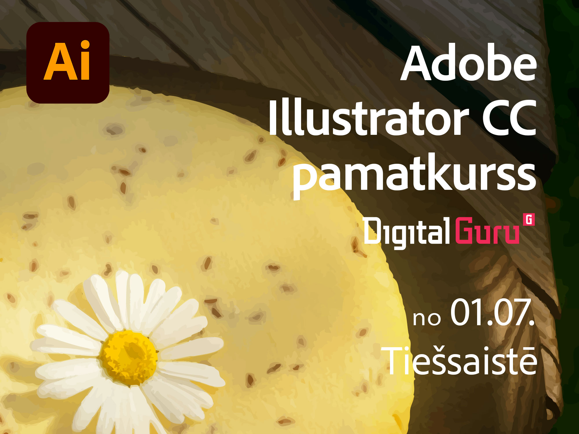 Digitalguru