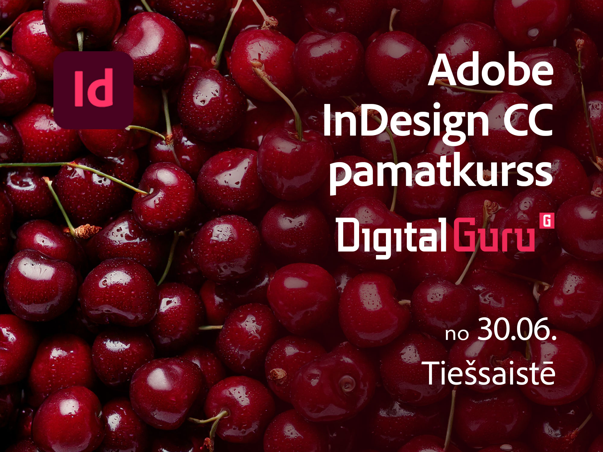 Digitalguru